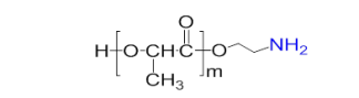 PLLA-amine