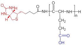 Biotin-poly-L-Glutamic acid/Biotin-pGlu