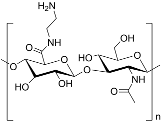 Hyaluronic acid amine