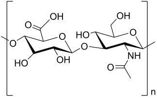 Hyaluronic acid (HA) polysaccharide structure