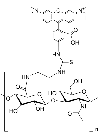 Hyaluronic acid-RhB Structure