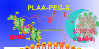 Poly(amino acid)-PEGs