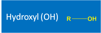 Hydroxyl (OH)