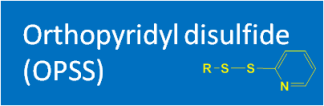 Orthopyridyl disulfide (OPSS)