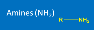 Amines (NH2)