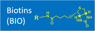 Biotins (BIO)