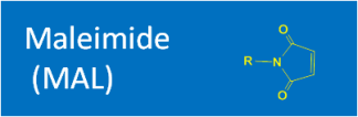 Maleimide (MAL)