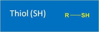 Thiol (SH)