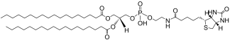 DSPE-Biotin lipid structure