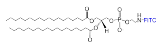 DSPE-Fluorescein/DSPE-FITC