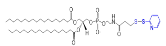 DSPE-OPSS