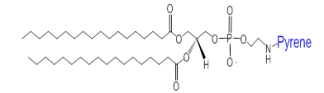 DSPE-Pyrene