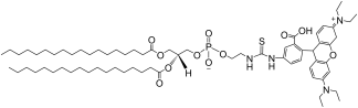 DSPE-Rhodamine B