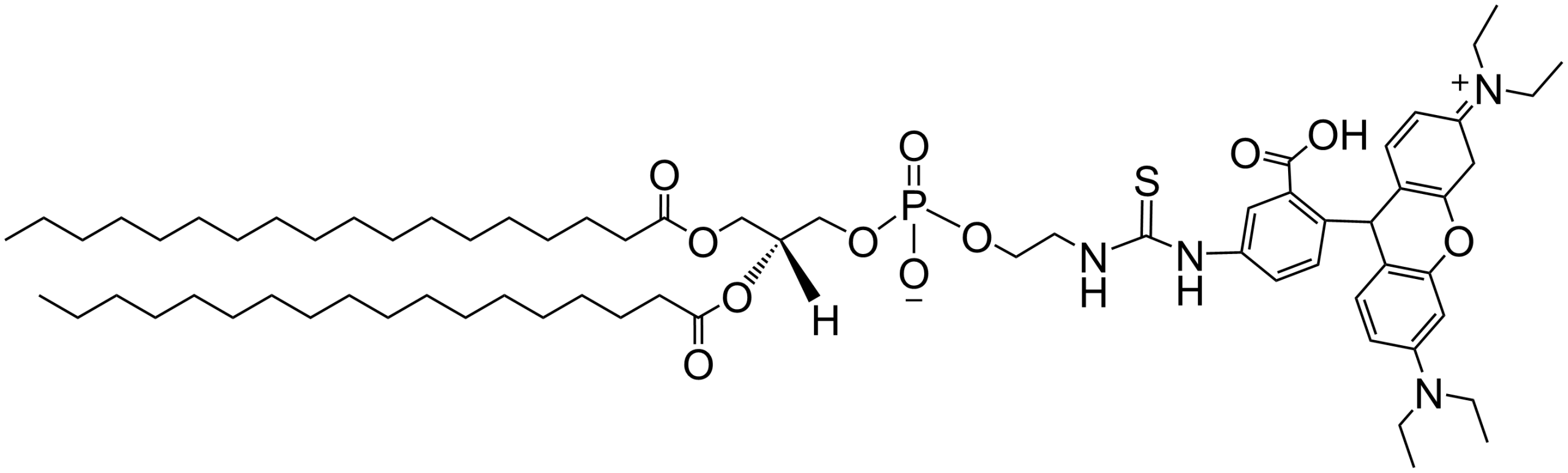 DSPE-Rhodamine B