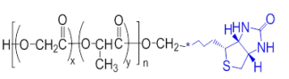 PLGA-Biotin/PLGA-Bio