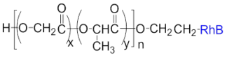 PLGA-Rhodamine/PLGA-RhB
