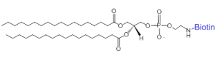 DSPE-Biotin/DSPE-Bio