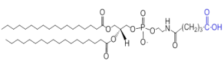 DSPE-glutaric acid