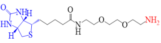 Biotin-PEG2-Amine