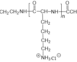 Thiol-Poly-L-lysine-Thiol