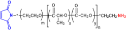 Maleimide-PEG-PLGA-Amine