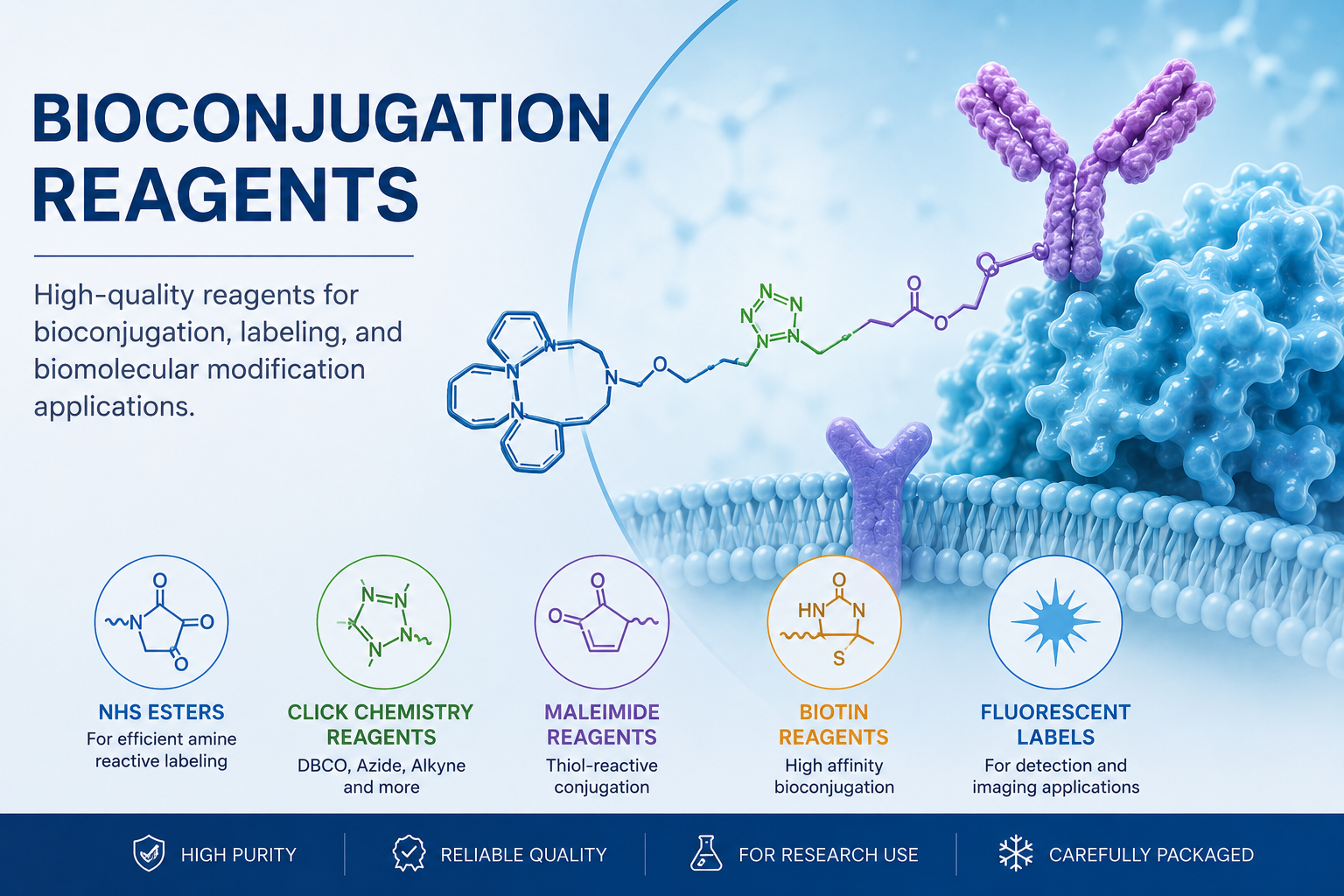 Bioconjugation Reagents For Protein Labeling, Click Chemistry And Drug ...