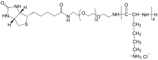 Biotin-PEG-PLL structure