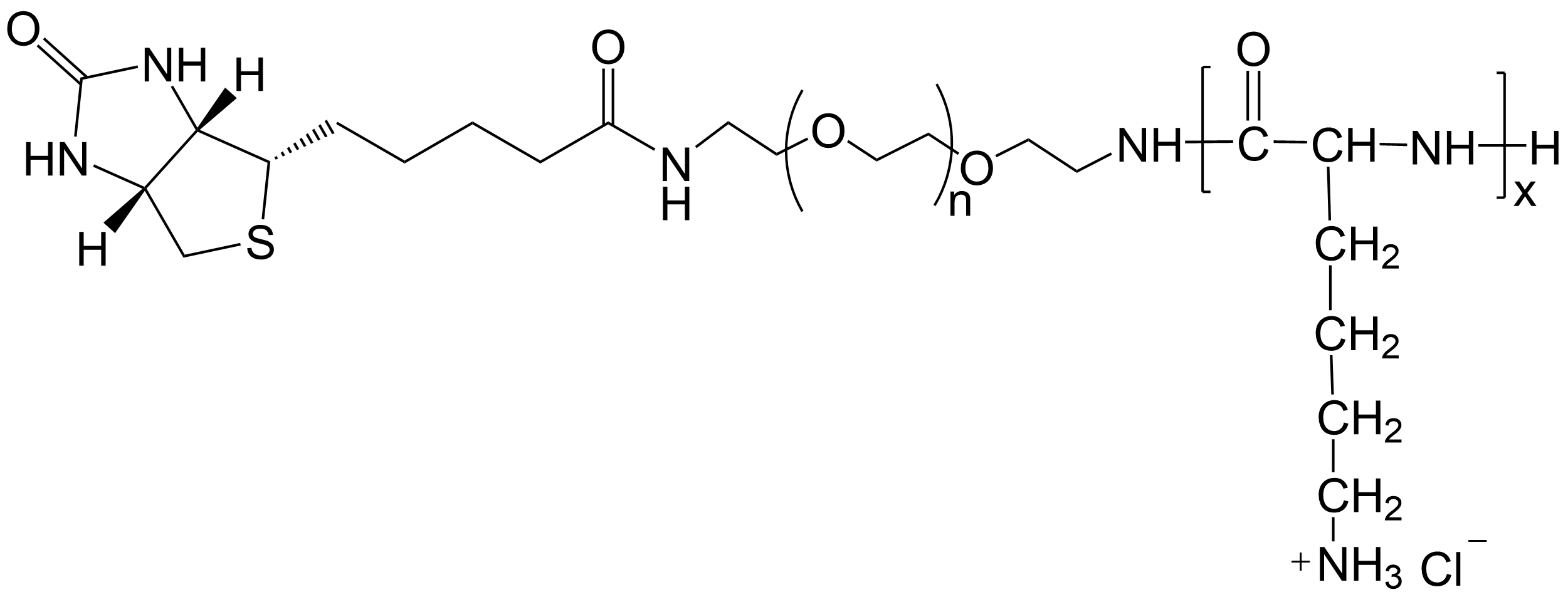 Biotin-PEG-PLL structure