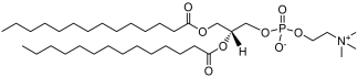 DMPC phospholipid structure