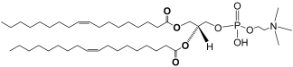 DOPC phospholipid structure