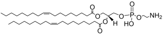 DOPE phospholipid structure
