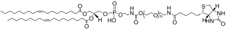 DOPE-PEG-Biotin lipid structure