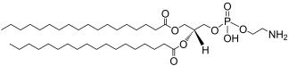 DSPE phospholipid structure