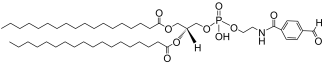 DSPE-Aldehyde lipid structure