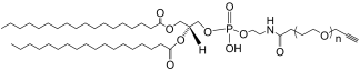 DSPE-PEG-Alkyne lipid structure