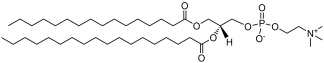 HSPC phospholipid structure