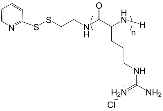OPSS-Poly(L-Arginine) polymer structure