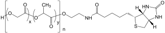 PLGA-Biotin biodegradable polymer structure
